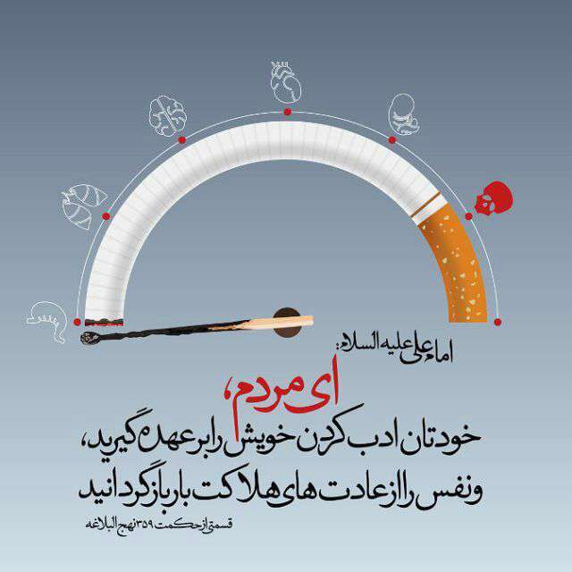 حدیثی از امام علی در مورد ادب
